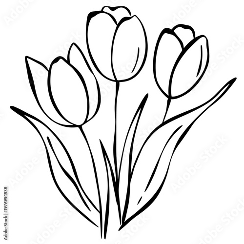 Minimalist Tulip Line Art Bouquet – Simple Floral Outline Illustration, Hand Drawn Spring Flowers