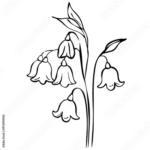 Snowdrop Flower Line Art Illustration – Minimalist Botanical Black Outline Clipart
