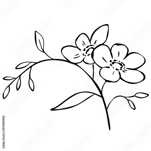 Minimalist Wildflower Line Art Illustration, Simple Botanical Floral Drawing, Elegant Black Outline Flowers