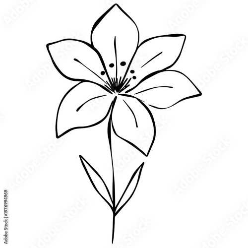 Minimalist Flower Line Art Illustration, Hand Drawn Botanical Outline, Simple Floral Design