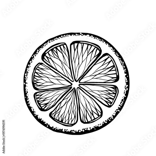 Lemon slice in minimalist black and white vector line art. Round citrus fruit cut, top view, for mediterranean seafood menu, organic lemonade packaging, fresh garnish and healthy food graphics