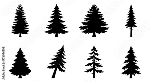 Pine tree silhouettes, 8 evergreen conifer vectors, black forest icons