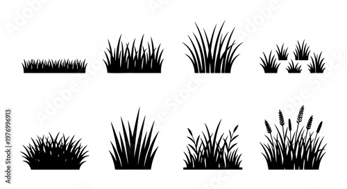 Black grass silhouette set, 8 nature plant icons, meadow lawn vectors