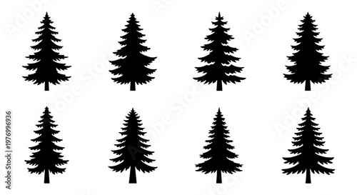 Pine tree silhouette set, 8 evergreen conifer icons, black forest vector