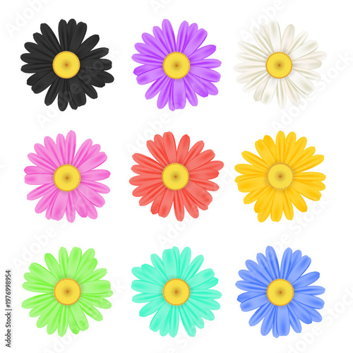 Realistic chamomile daisy flower icon collection