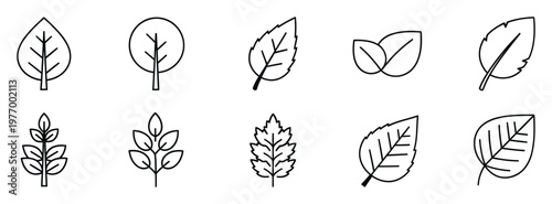 Minimalist line art leaf icons for nature, ecology, and organic product branding, ideal for web graphics, app UI, and ecofriendly marketing materials.