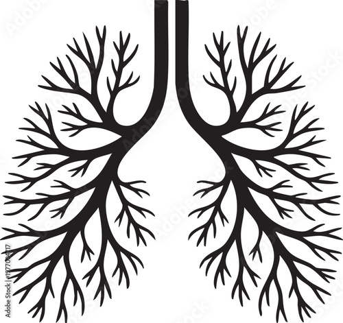 Detailed vector illustration of human lungs with trachea and bronchi