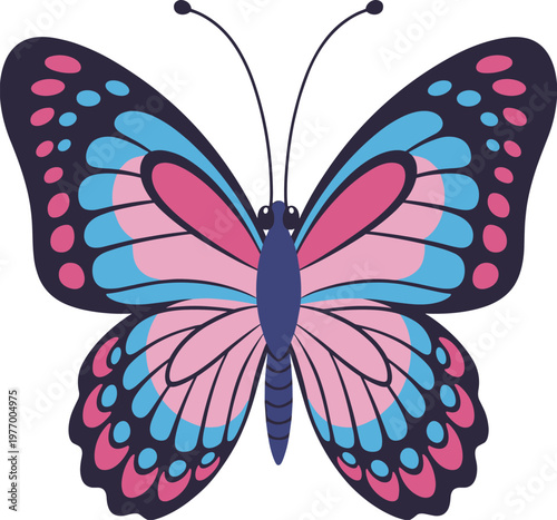 Pink and Blue Butterfly Illustration on White Background