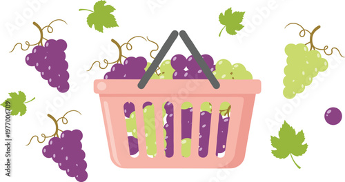 Vector illustration of basket filled with purple and green grapes with leaves
