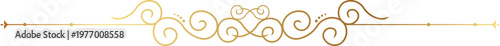 Elegant Golden Divider line