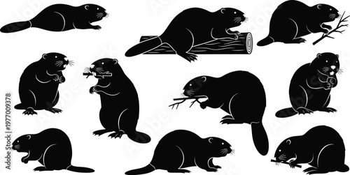 Beaver silhouette vector set, black animal collection with different poses, wildlife rodent illustration, isolated design elements, nature forest activity concept