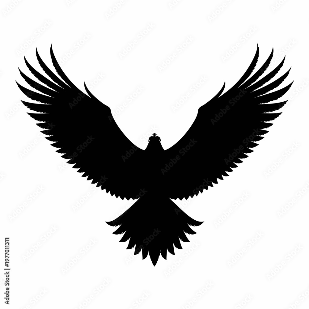 Obraz premium Black eagle, bird silhouette, flying eagle, wingspan vector