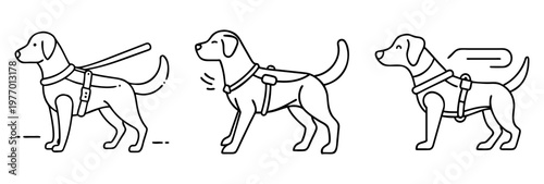 Three images of dogs wearing harnesses or vests in outline illustration style