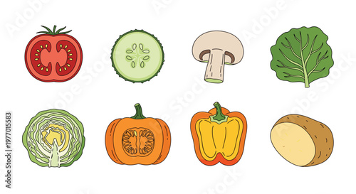 Collection of eight common vegetables including tomato, cucumber, mushroom, lettuce, pumpkin, bell pepper, and potato.