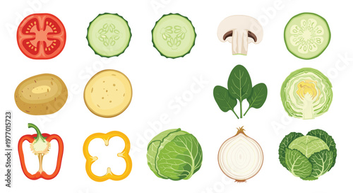 Large set of colorful vegetable icons including tomato, cucumber, potato, spinach, cabbage, onion, and bell pepper.