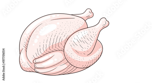Detailed line art illustration of a whole raw chicken ready for cooking or roasting on a clean white background.