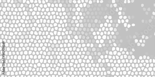 Abstract gray mosaic pattern with white cellular shapes, organic texture background for modern graphic design layout. A densely patterned abstract background featuring numerous irregular white shapes 