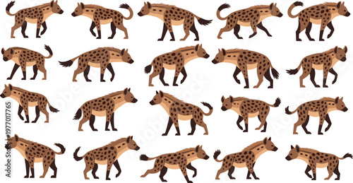 Spotted Hyena Cartoon Animal Set in Various Poses with Walking Standing and Running Wild African Wildlife Illustration Collection