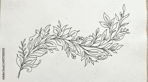 Elegant line drawing of a flowing branch with delicate leaves, perfect for floral motifs and nature-inspired designs