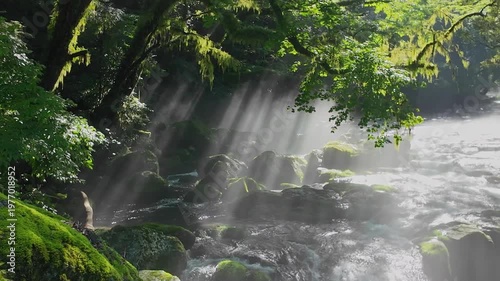 菊池渓谷の光芒