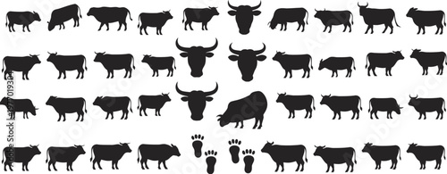 Black silhouettes of cows and bulls in various poses and head shots  cattle