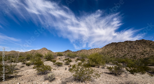 Schilderij op canvas Wispy cirrus clouds dance over the rugged Sonoran Desert, where scrubby desert brush and rocky hillsides tell the story of a land both harsh and beautiful