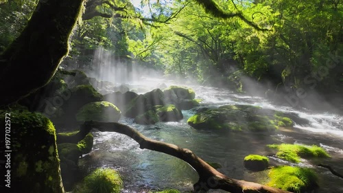 菊池渓谷の光芒