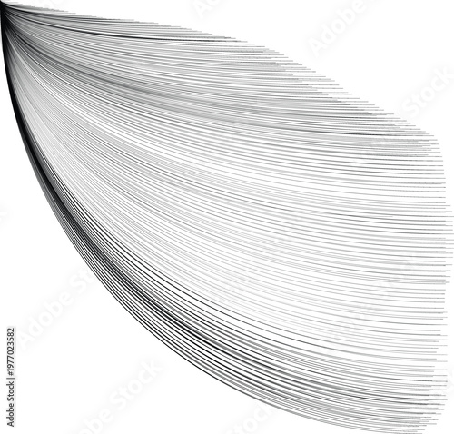 black and white page