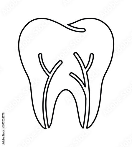 Minimalist tooth line icon vector, dental anatomy molar with root canals, black and white stomatology symbol for clinic branding and oral health