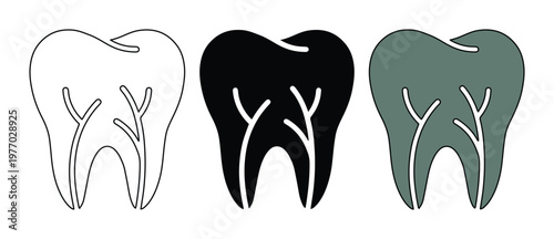 Minimalist tooth icon set with root canal details, dental health symbols in outline and solid styles, 3 vector molar illustrations for dentistry