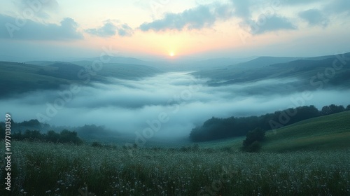 Misty Valley Sunrise Over Rolling Hills And Wildflowers Warm Golden Light Illuminates The Serene