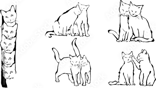 Minimalist vector sketch of peeking cats and feline pairs showing affection with clean hand drawn lines
