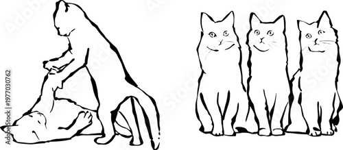 Minimalist vector illustration of cat rows and groups sitting together in a row hand drawn line art