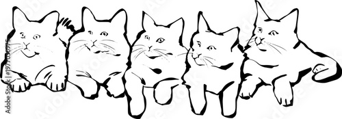 Minimalist vector illustration of cat rows and groups sitting together in a row hand drawn line art