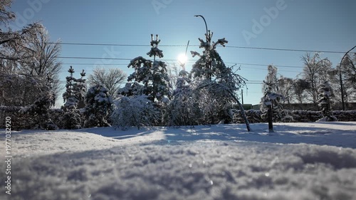 Low Angle View Of Snowy Fir Trees In Winter Park