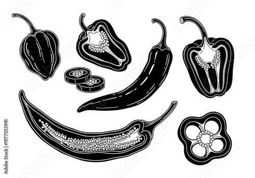 Black and White Chili Pepper and Bell Pepper Illustration Set, Hand Drawn Spicy Vegetable Linocut Style Icons, Jalapeno and Habanero Slices and Cross Sections