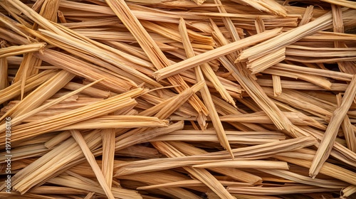 Textured Dried Lemongrass Strips on Natural Backgrounds, Rustic Aesthetic with Muted Green Tones