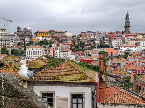 Seagull perched atop a wall amidst the colorful buildings and landmarks of Porto's skyline, PORTUGAL