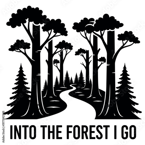 Scenic woodland pathway with tall trees and pine trees silhouette