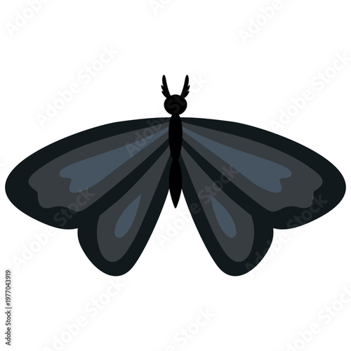 Dark Butterfly Gothic