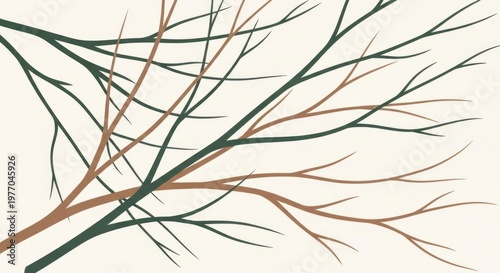 Bare Branches Against a Pale Background.