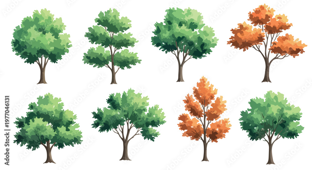 Fototapeta premium Watercolor tree collection with 8 vector elements, green and orange deciduous trees set, hand drawn forest foliage for landscape design