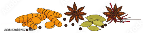 Heap of various spices for cooking. Aromatic ingredients composition. Continuous one line drawing with color vector illustration.