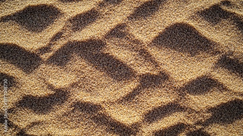 Close-up of Rough Grains and Detailed Sands Creating a Seamless Surface in Arid Desert Landscape