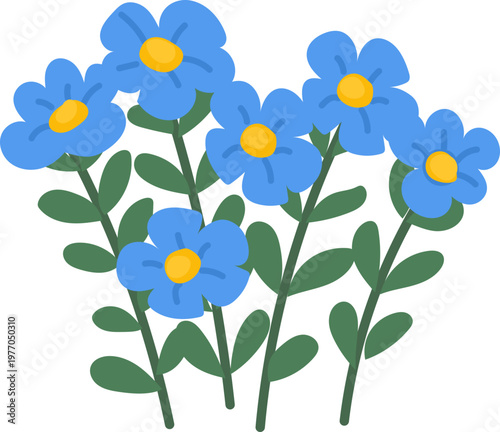 Blue forget me not flowers botanical illustration