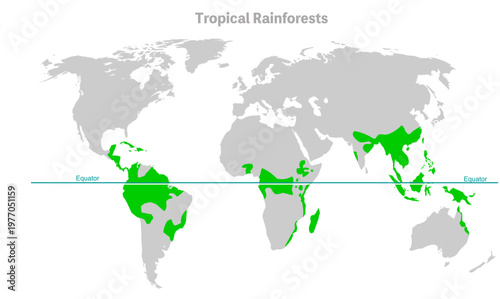 Tropical rainforests, rain forest in earth equator map. Green trees location atlas. Oxygen climate earth. Monsoons followed by a dry season, Rainfall are moist deciduous forests. Illustration vector