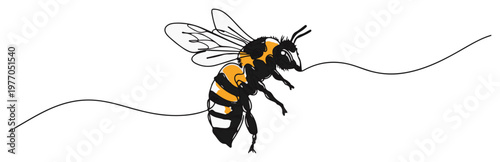 Flying honey bee insect. Continuous one line drawing with color vector illustration.