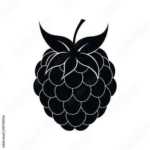 thimble berry fruit silhouette art