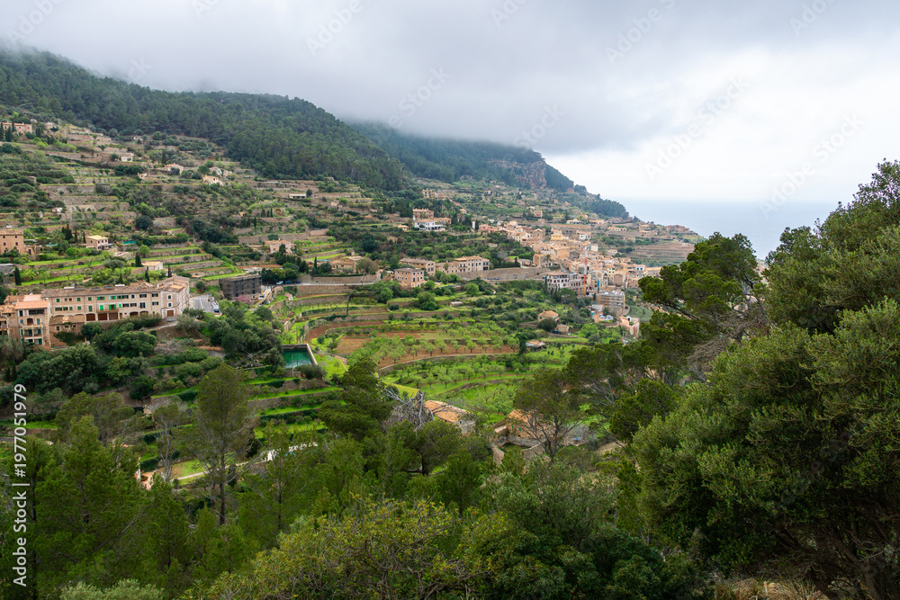 Fototapeta premium Coastal cliffs with terraced landscape and Mediterranean sea view at Torre del Verger Mallorca