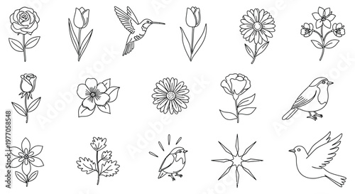 A collection of flowers and birds drawings isolated on white background, Vector, illustration